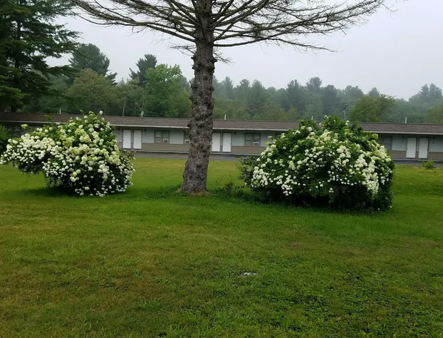 Becket Motel hotel detail image 2