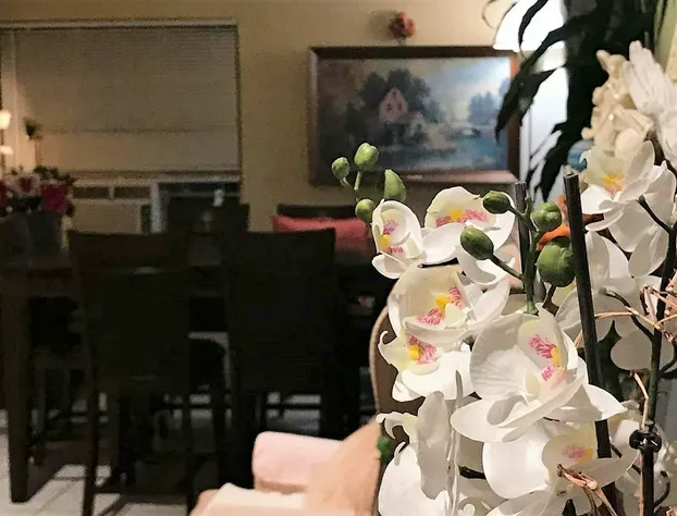 Cactus Inn and Suites hotel detail image 4