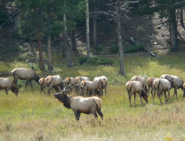 Anchorage Farm B&B hotel detail image 1
