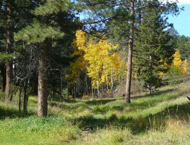 Anchorage Farm B&B hotel detail image 2