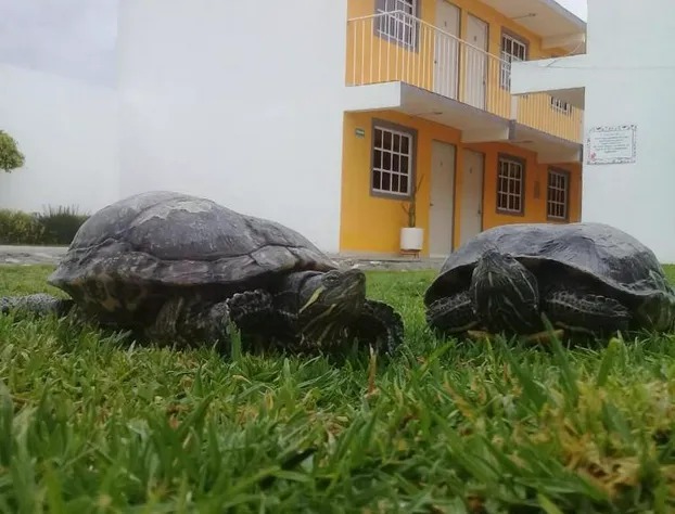 Posada del Ángel hotel detail image 1