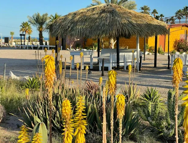 Las Palmas Hotel hotel detail image 2