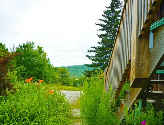 Lotus Mountain Retreat hotel detail image 3