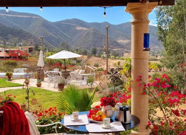 Viña Calabria hotel detail image 2