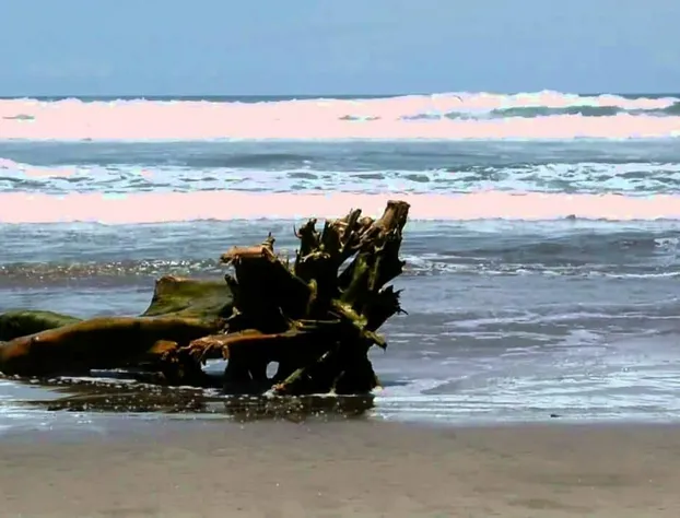 Hotel Del Balsas Lazaro Cardenas hotel detail image 4