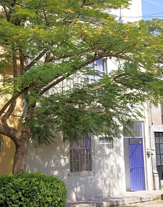 Hotelitto San Miguel hotel hero