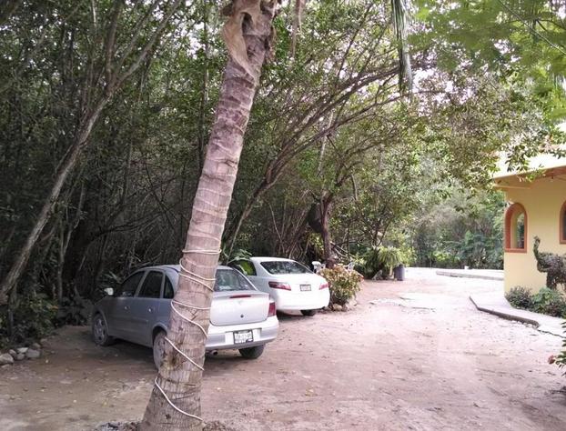 Manglar Pacific hotel detail image 2