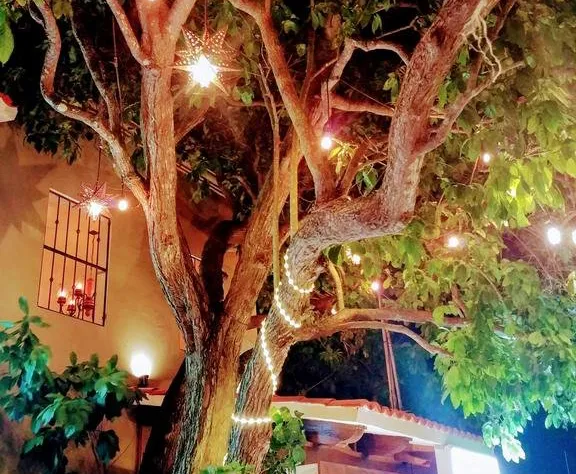 El Roble Hotel hotel detail image 4