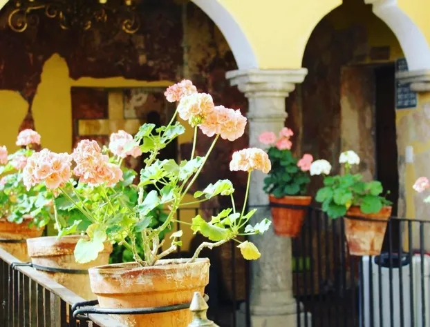 Hotel Posada XVII hotel detail image 1