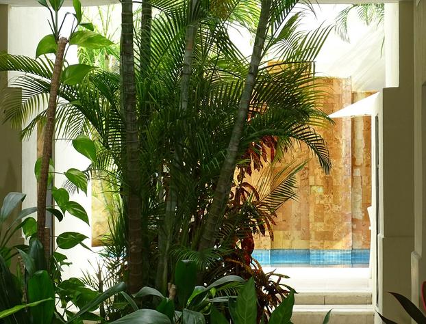 Hotel López Campeche hotel detail image 4