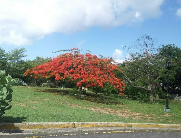 The Wave Hotel hotel detail image 3