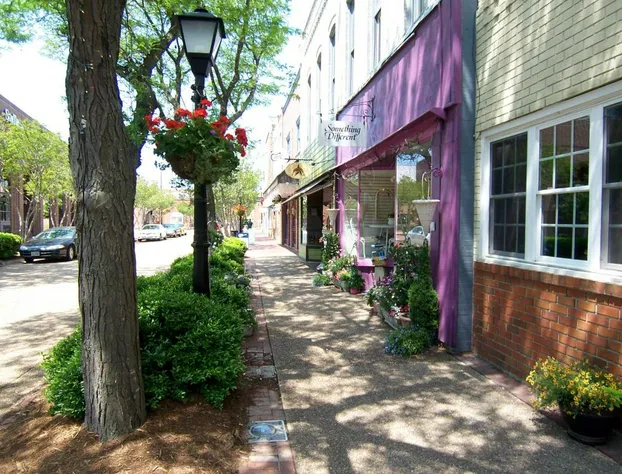 The Magnolia House Inn hotel detail image 1