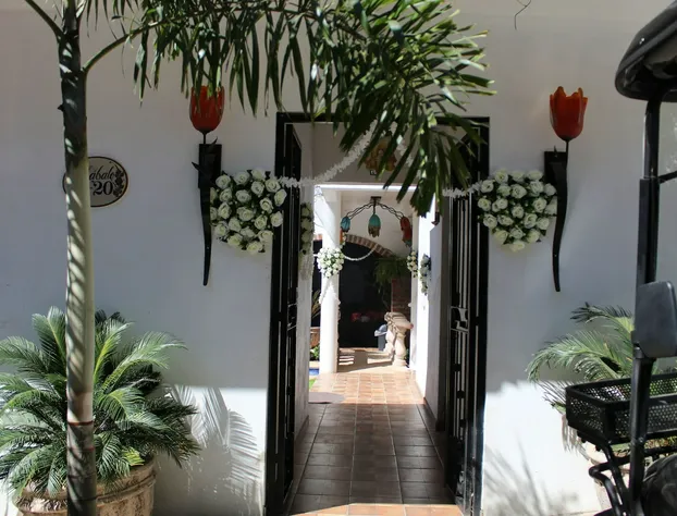 Villas Amalia Hotel hotel detail image 3