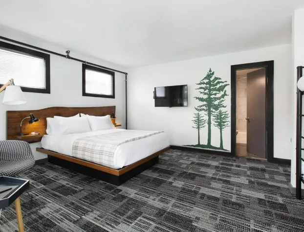 Main and Mountain Bar & Motel hotel detail image 4