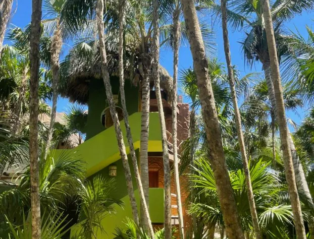 Sueños Tulum hotel detail image 1