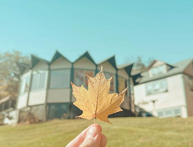 Apple Tree Inn hotel detail image 1