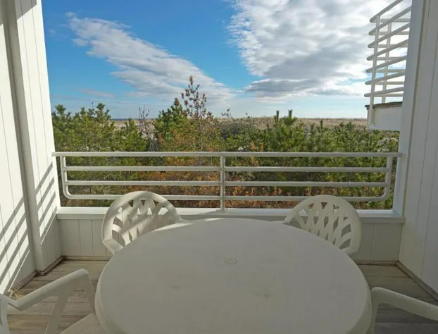 The Hermitage hotel detail image 3