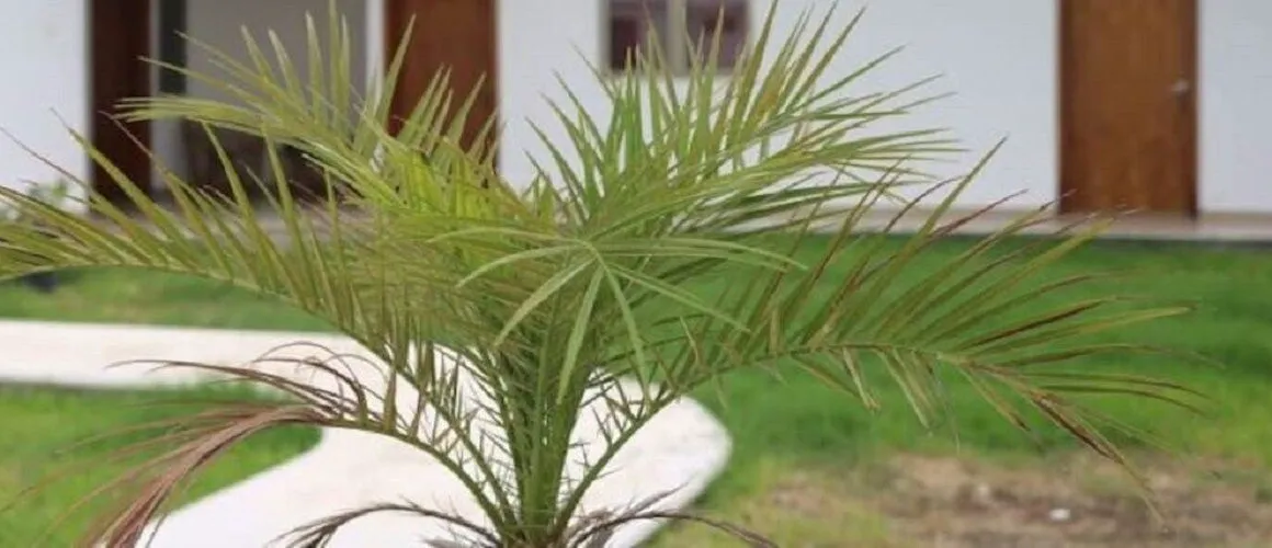 Hacienda San Gabriel hotel hero