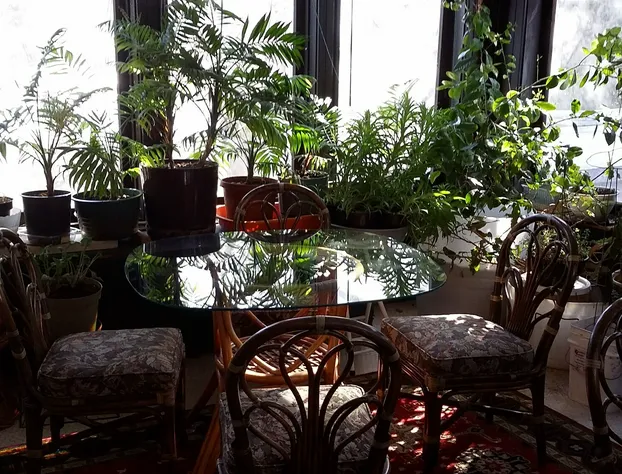 Chestnut Charm Bed & Breakfast hotel detail image 1