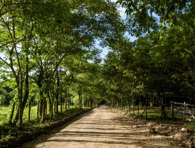 Villas Adriana Palenque hotel detail image 1