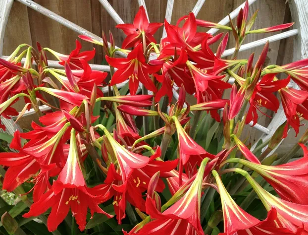 Honey Farm Bed & Breakfast hotel detail image 4