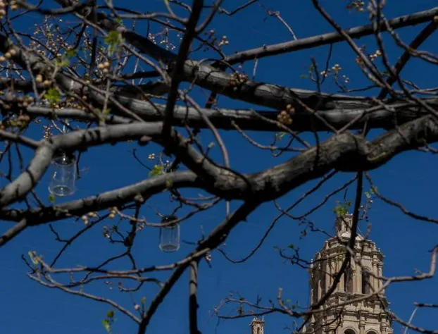 Central Hotel Boutique hotel detail image 4