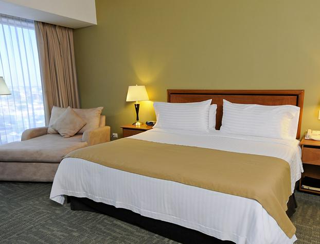 Holiday Inn Irapuato By IHG hotel detail image 3