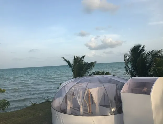 Eco Hotel Jadan Chechen hotel detail image 4