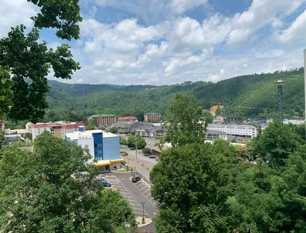 Laurel Inn Condominium hotel detail image 4