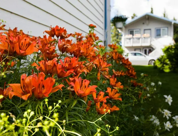 Bay Avenue Inn hotel detail image 4