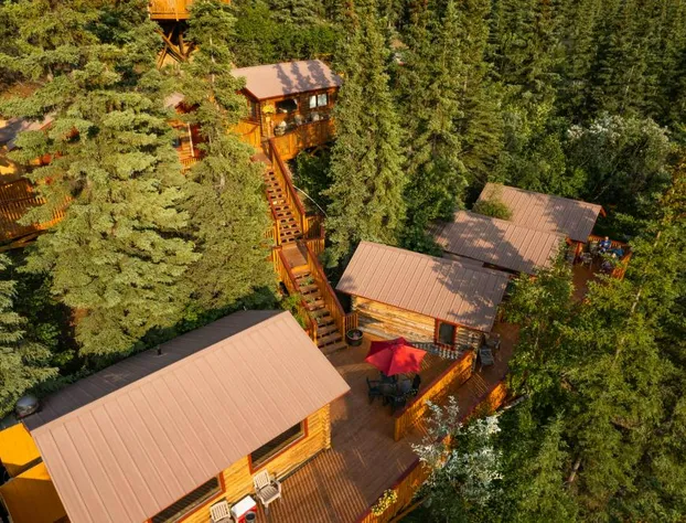 Denali Crow's Nest Cabins hotel detail image 4