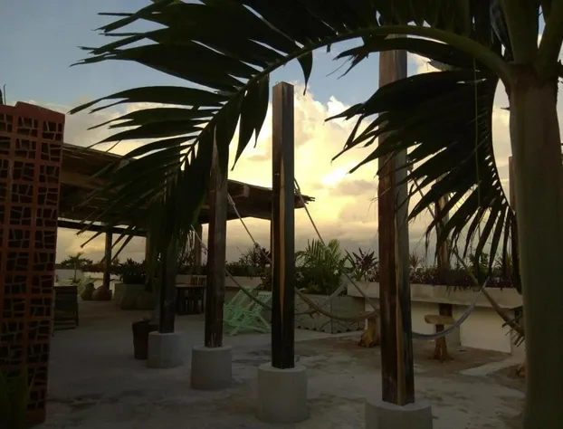 Hotel La Palmita by MIJ hotel detail image 1