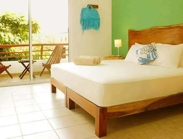 Hotel La Palmita by MIJ hotel detail image 4