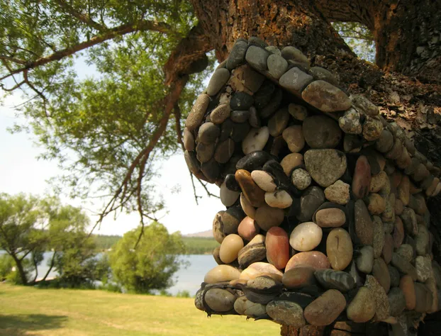 Willow Bay RV Resort & Marina hotel detail image 2