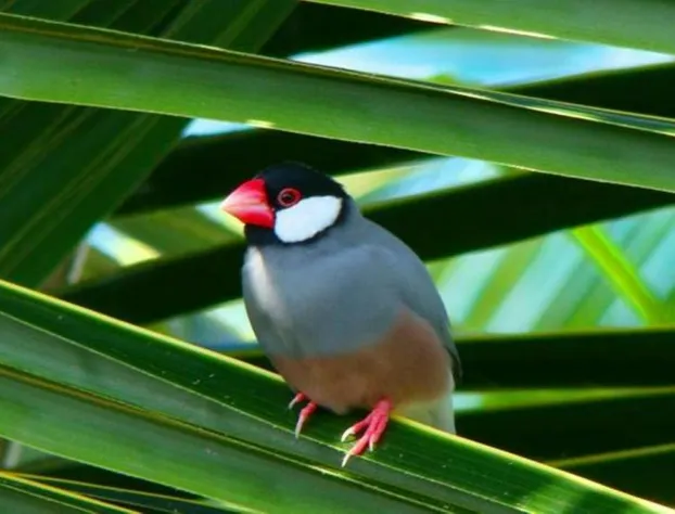 Maui Guest House hotel detail image 1