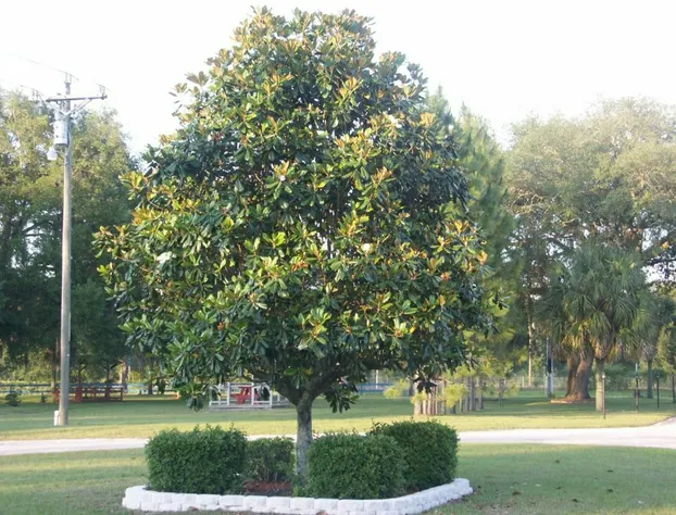 Deerwood Inn and Madison Campground hotel detail image 1