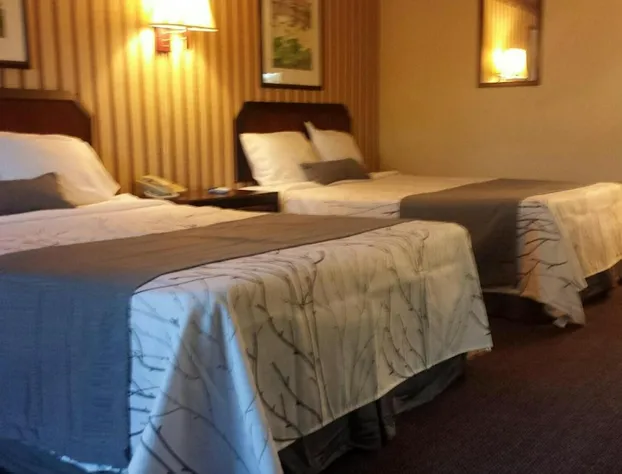 Deerwood Inn and Madison Campground hotel detail image 4