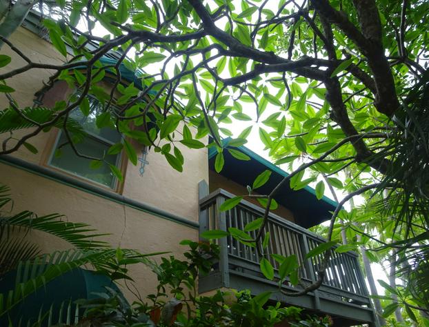 Suite Dreams Inn by the Beach hotel detail image 3
