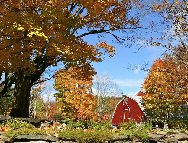 West Hill House B&B hotel detail image 2