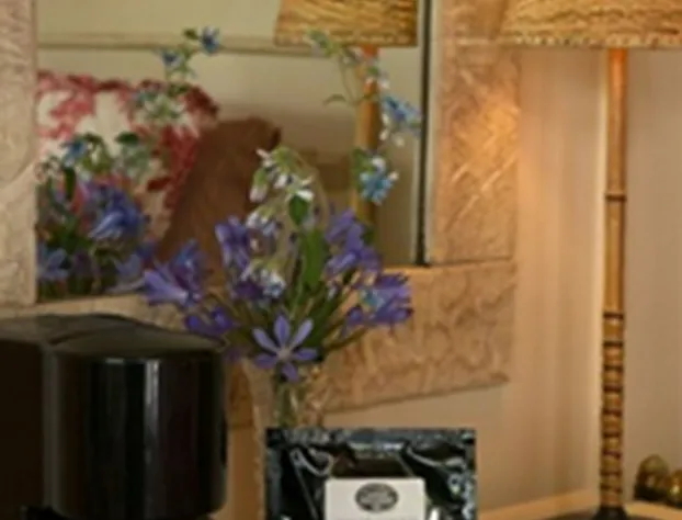 Monte Verde Inn hotel detail image 3