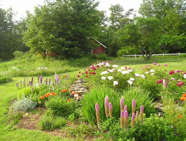 Cooper Hill Inn hotel detail image 4