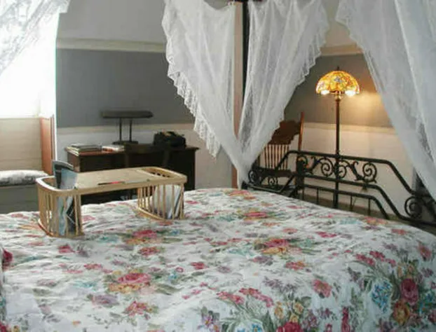 Herzog Mansion hotel detail image 4