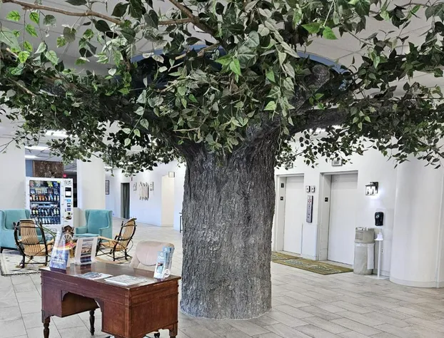 Grand Smokies Resort Lodge hotel detail image 3