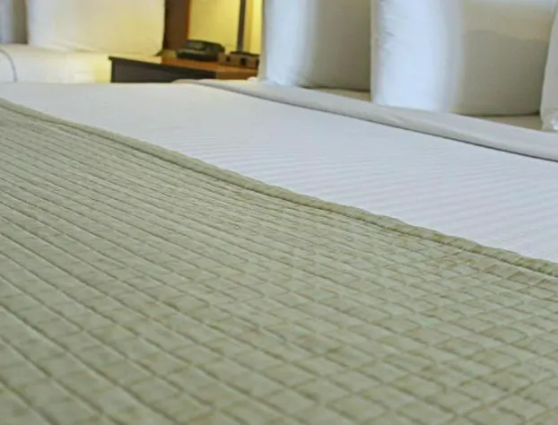 Southern Inn and Suites Kermit hotel detail image 3