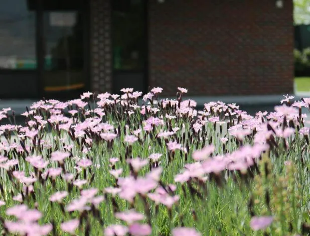 Elkton Lodge - Newark - Elkton - University Gateway hotel detail image 3