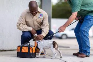 Motel 6 Beatty - Death Valley hotel detail image 3