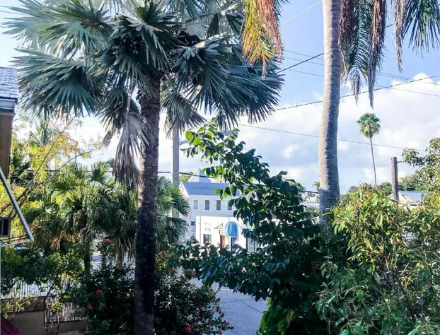 Authors of Key West Guest House hotel detail image 3