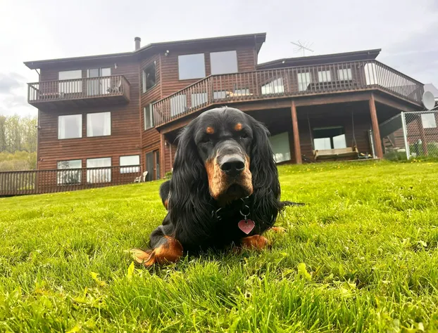 Majestic View B&B hotel detail image 4