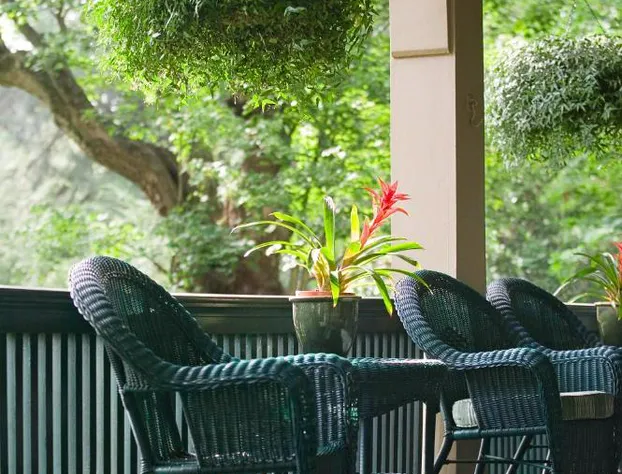 1900 Inn on Montford hotel detail image 3