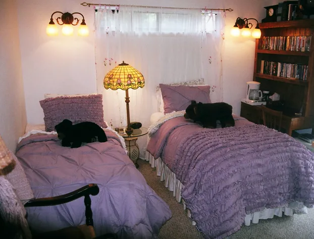 Dreydon House B&B hotel detail image 2